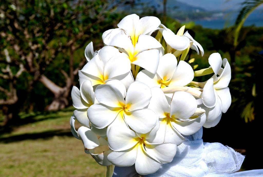 แองเคอเรจบีชรีสอร์ท Viseisei ภายนอก รูปภาพ
